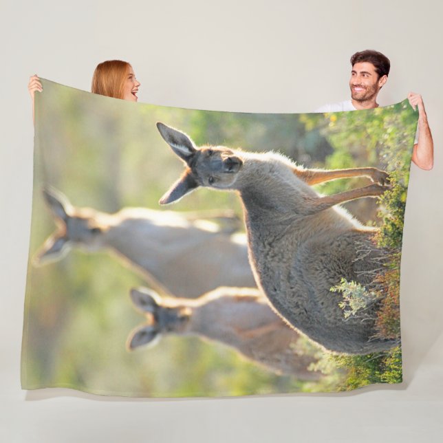 WAS IST AUF! KANGAROOS FLEECEDECKE (Beispiel)