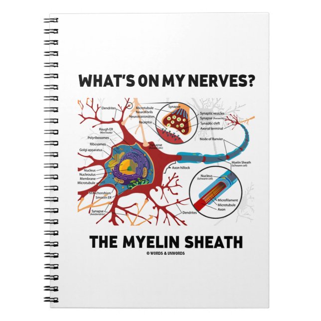 Was ist auf meinen Nerven? Myelin Sheath Notizblock (Vorderseite)