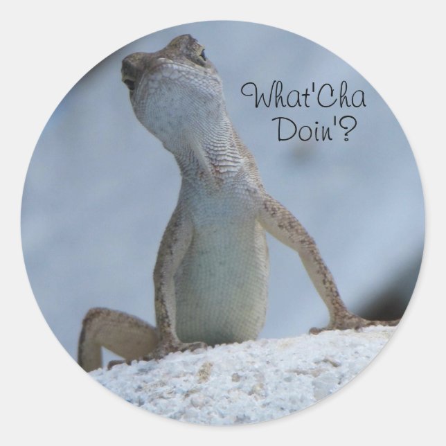 Was ist Cha Doin? Brown Anole Lizard Sticker (Vorderseite)