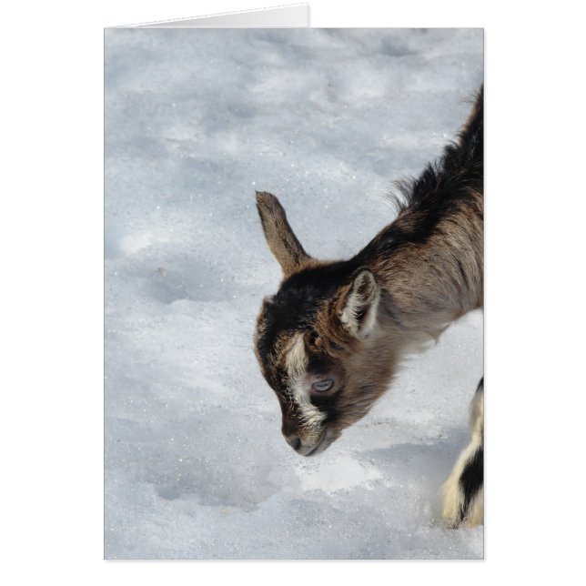 Was ist das? (Vorne)