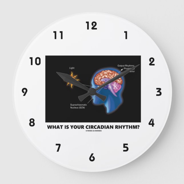 Was ist dein Circadianrhythmus? Große Wanduhr (Vorderseite)