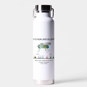 Was ist dein Lebenskonzept? Drosophila Biology Trinkflasche