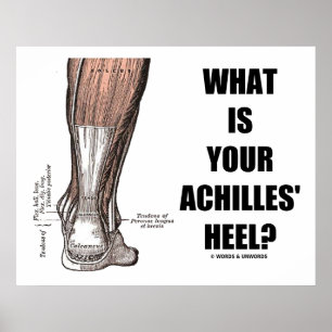 Was ist deine Achillesferse? (Heel Anatomie) Poster