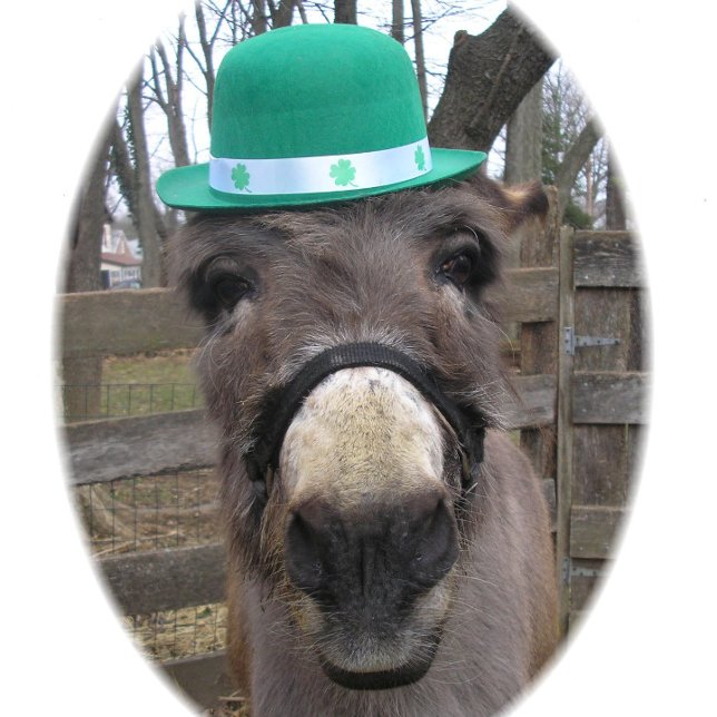 "Was ist der große Deal?" Geschenkpapier (Von Creator hochgeladen)