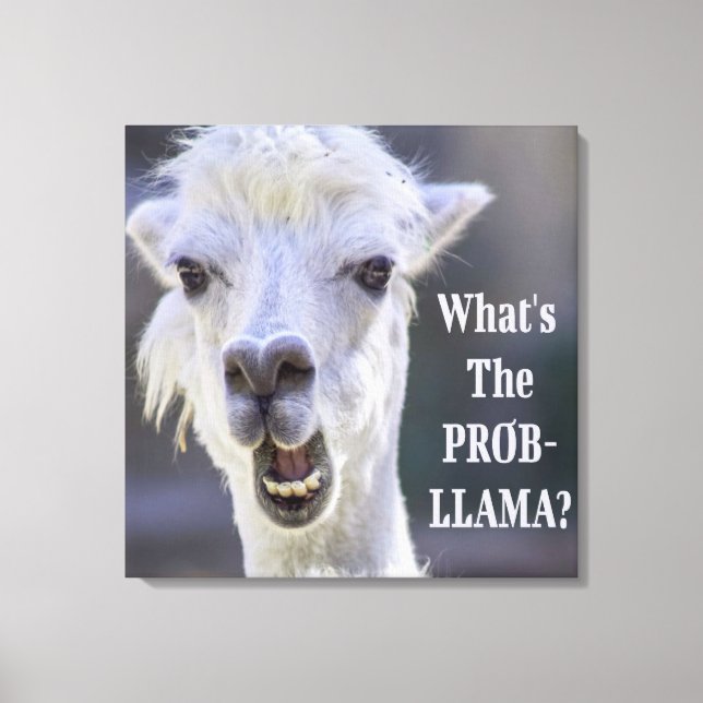 Was ist der Prob- Llama? Niedlich Funny LLAMA Leinwanddruck (Vorderseite)