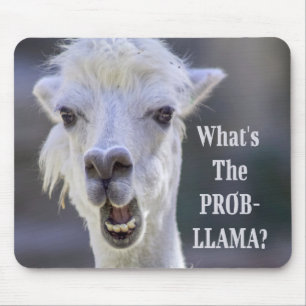 Was ist der Prob-Llama? Niedliche LLAMA Mousepad