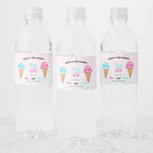 Was ist die Scoop Celebration - Sweet Gender Revea