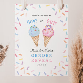 Was ist die Scoop Ice Creme Gender-Offenbarung? Poster