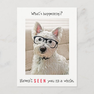 Was ist Ereignis, Westie Hund trägt Brille Postkarte