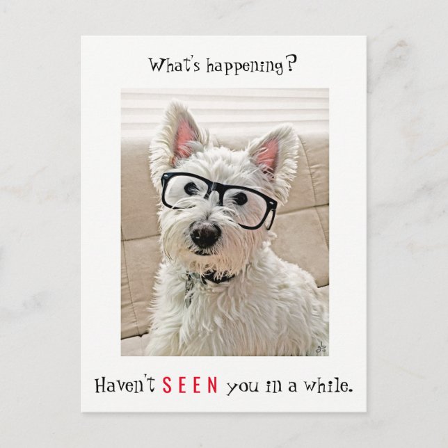 Was ist Ereignis, Westie Hund trägt Brille Postkarte (Vorderseite)