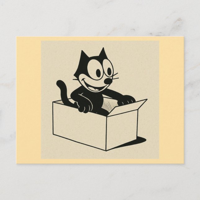 Was ist es mit CATS und BOXES?! Postkarte (Vorderseite)
