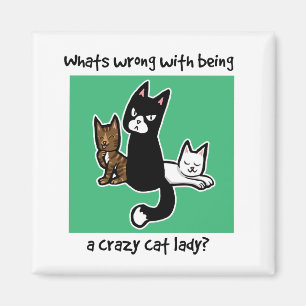 Was ist falsch daran, eine verrückte Katzenfrau zu Magnet