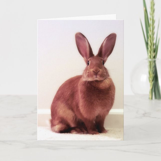 "Was ist Hoffnung?" Karte (Vorderseite)