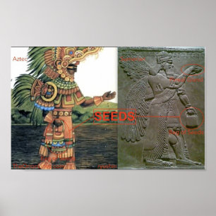 Was ist in den Samen in der Tasche? Poster