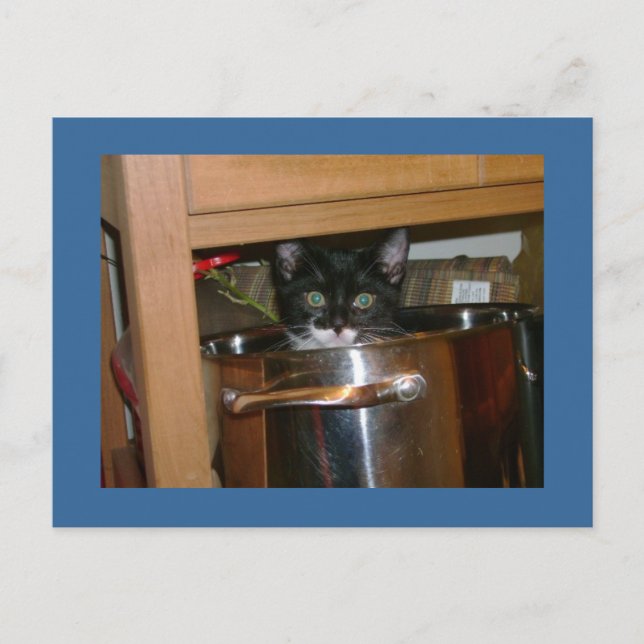 Was ist Keks? Postkarte (Vorderseite)