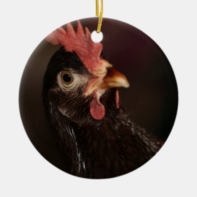 Was ist? keramik ornament (Vorne)