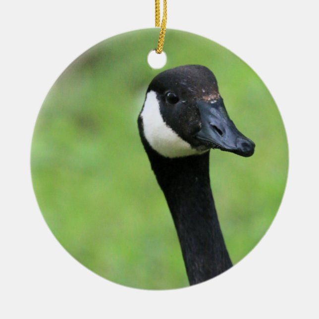 Was ist? keramik ornament (Vorne)