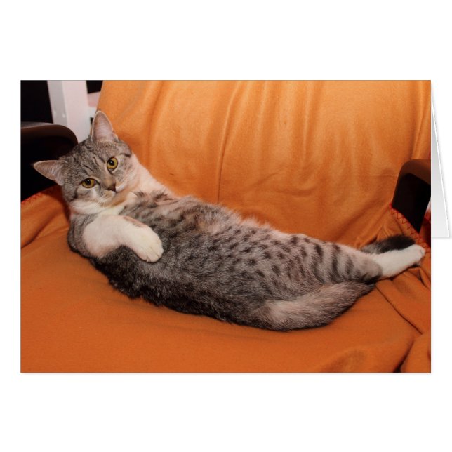 Was ist los? Abendessen fertig? (Vorderseite (Horizontal))