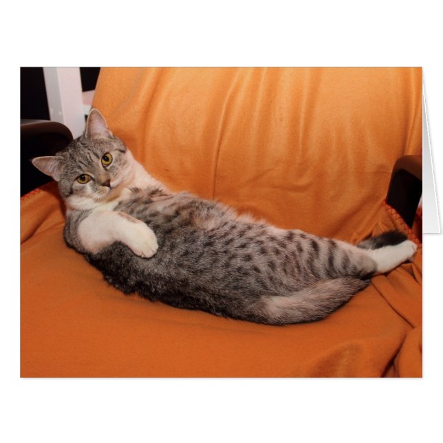 Was ist los? Abendessen fertig? (Vorderseite (Horizontal))
