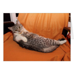 Was ist los? Abendessen fertig?