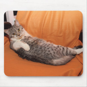 Was ist los? Abendessen fertig? Mousepad