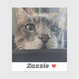 Was ist los, Cat? 3" Vinyl Sticker