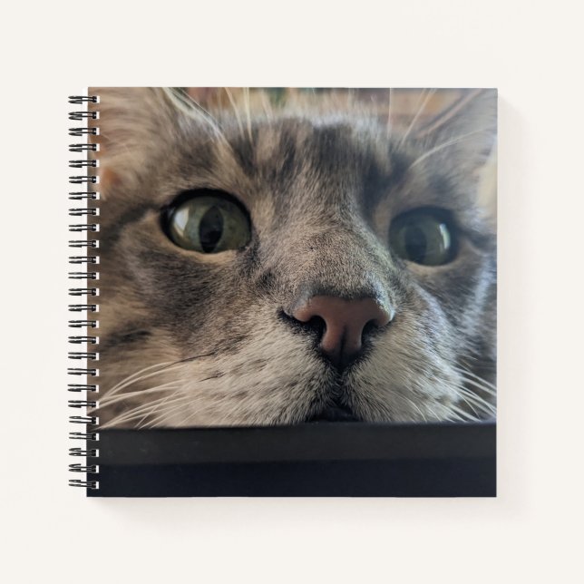 Was ist los, Cat? Square Spiral Notebook Notizbuch (Vorderseite)