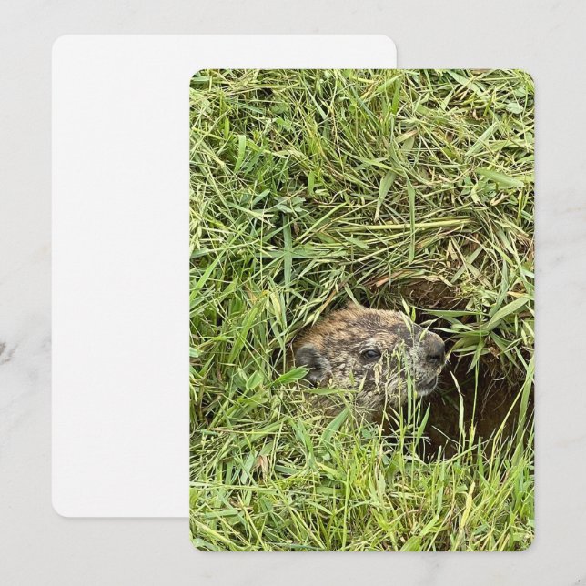 Was ist los? Flache Feiertagskarte (Vorne/Hinten)