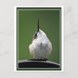 Was ist los? postkarte