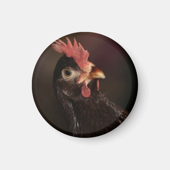 Was ist? magnet (Vorne)