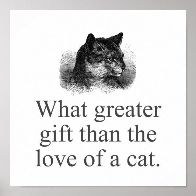 Was ist mehr als die Liebe einer Katze? Poster (Vorne)