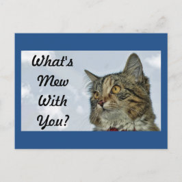 Was ist Mew Cat? Postkarte