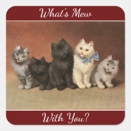Was ist Mew Cats Aufkleber? Quadratischer Aufkleber