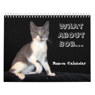 Was ist mit Bob Kitten (cat) Kalender? Kalender