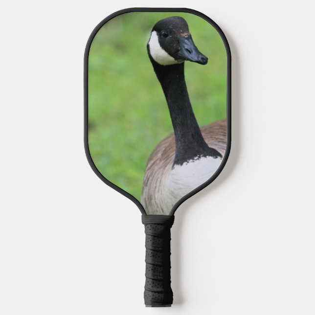 Was ist? pickleball schläger (Vorderseite)