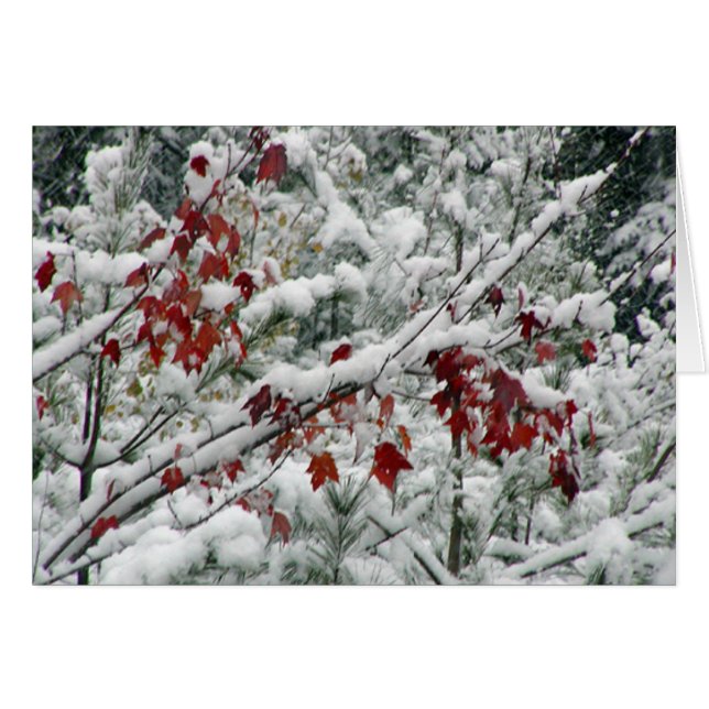 Was ist Rot und Weiß und Schnee überall? (Vorderseite (Horizontal))