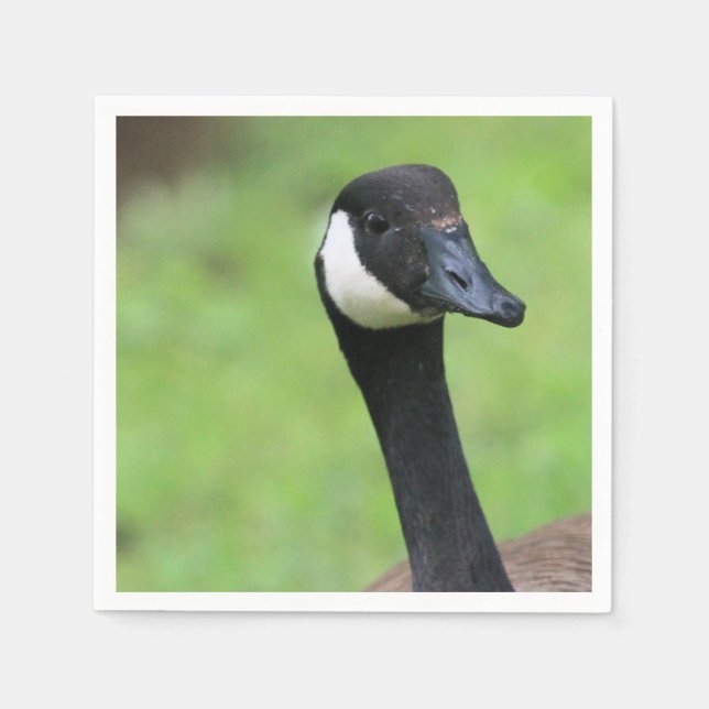 Was ist? serviette (Vorderseite)