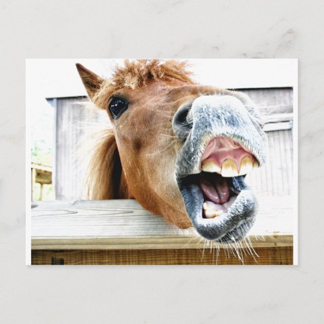 Was ist so lustig? postkarte (Vorderseite)