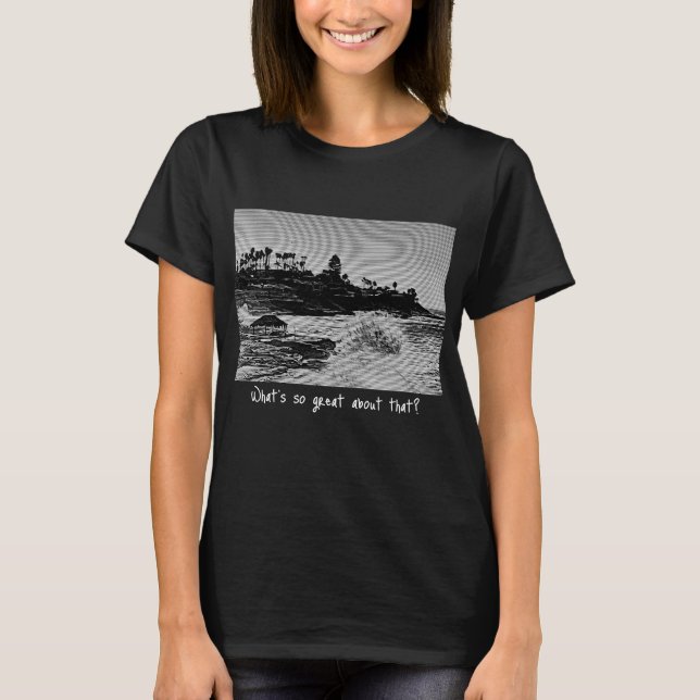 Was ist so toll an Windan T - Shirt? T-Shirt (Vorderseite)