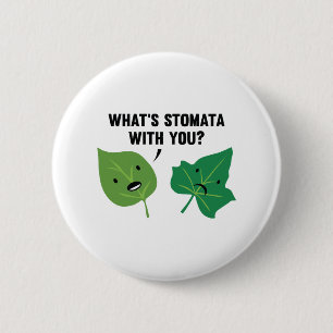 Was ist Stomata mit dir? Button