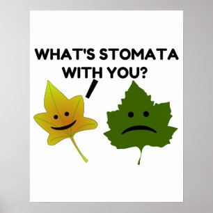 Was ist Stomata mit dir? Poster