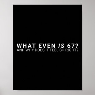 Was ist überhaupt der 67-Meme Poster