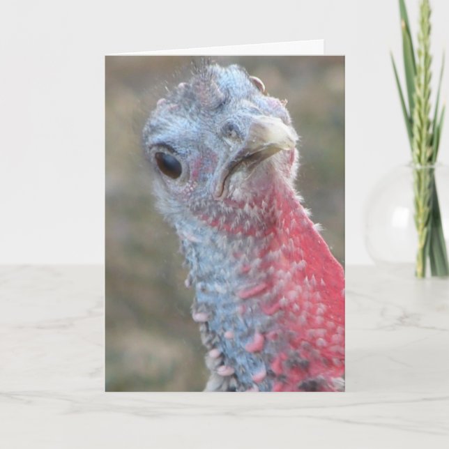 Was ist? Verwirrte Türkei, frohe Weihnachten (Vorderseite)