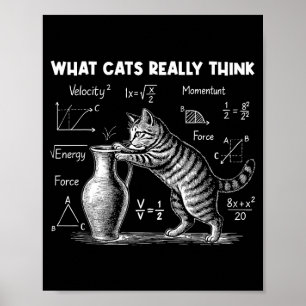 Was Katzen wirklich lustig finden Katzenphysik Wis Poster