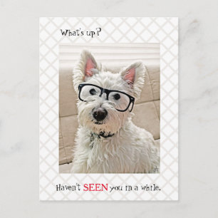 Was los ist, hast du nicht gesehen, Hund mit Brill Postkarte