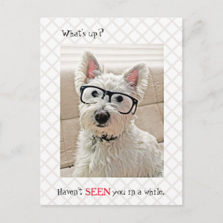Was los ist, hast du nicht gesehen, Hund mit Brill Postkarte