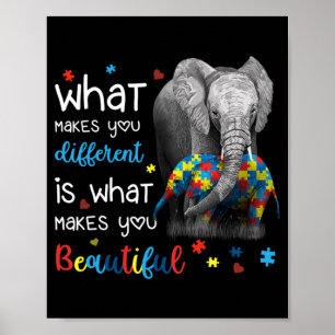 Was macht Sie zu einem anderen elementaren Autismu Poster