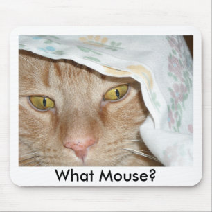 Was Mouse/Orange Tabby Cat Spaß Mousepad