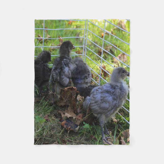 Was oben ist - Huhn-Hintern Fleecedecke (Vorderseite)