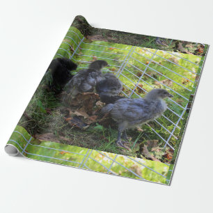 Was oben ist - Huhn-Hintern Geschenkpapier